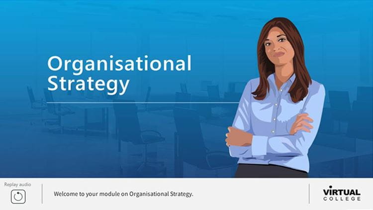 Organisational Strategy