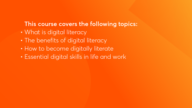 Professional Training & Digital Literacy