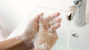 The importance of washing your hands